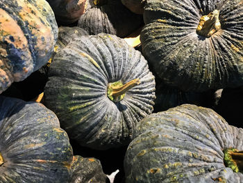 Full frame shot of pumpkins