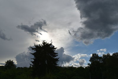 Low angle view of silhouette trees against sky