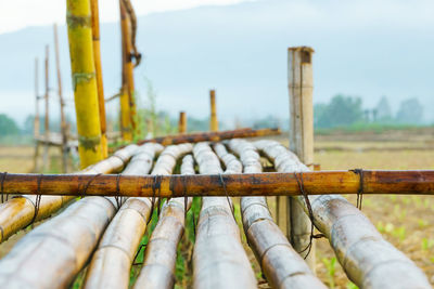 Close-up of wooden post in farm