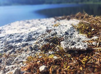 Surface level of sandy beach