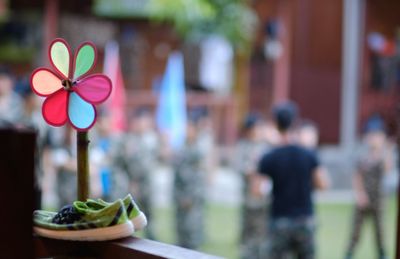 Close-up of colorful pinwheel toy