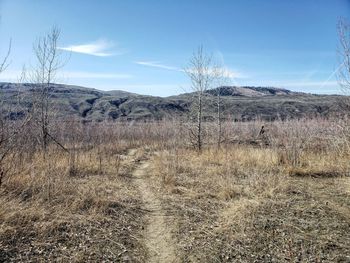 Scenic view of land against sky