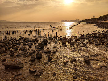 Scenic view of beach against sky during sunset