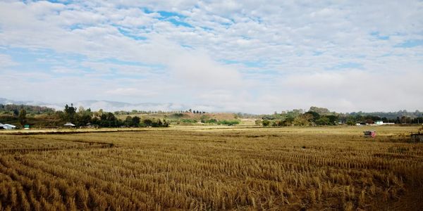 Scenic view of agricultural field against sky