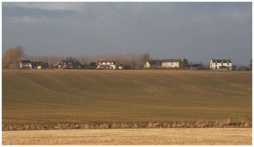 Scenic view of field against sky
