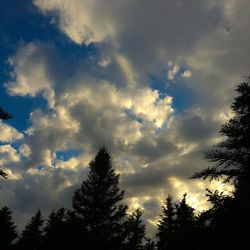 Low angle view of trees against cloudy sky