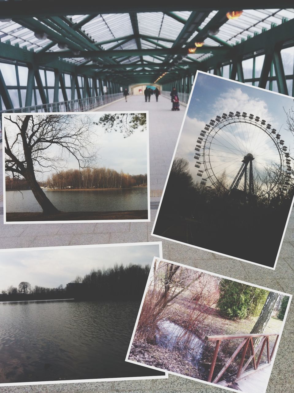 sky, built structure, water, river, architecture, day, reflection, no people, metal, lake, tree, outdoors, ferris wheel, nature, circle, cloud - sky, building exterior, glass - material, sunlight, landscape