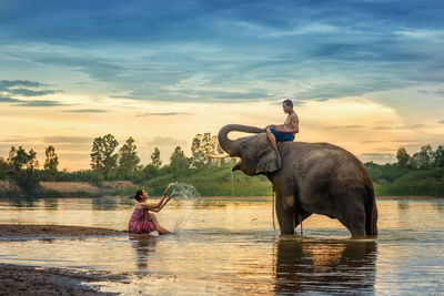 Full length of elephant in lake against sky during sunset