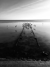 View of birds on sea against sky