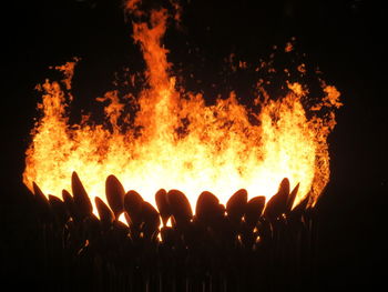 Close-up of bonfire at night