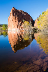 Reflection of trees in calm lake