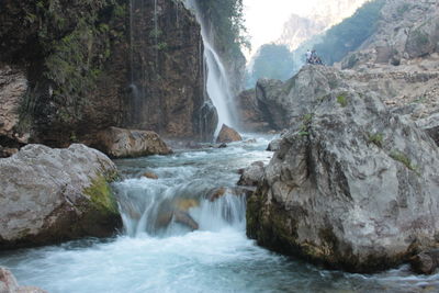 Scenic view of waterfall in forest