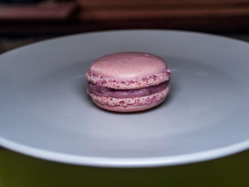 Close-up of cake in plate