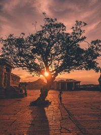 Silhouette people by tree against sky during sunset