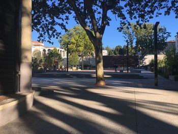 Trees by street against sky on sunny day