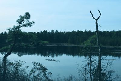 Scenic view of lake against clear blue sky