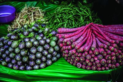 Close-up of purple flowers