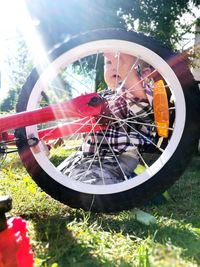 Close-up of bicycle parked on tree