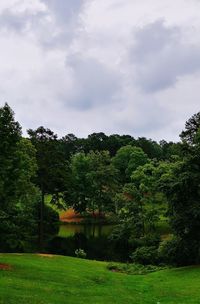 Trees on landscape against sky