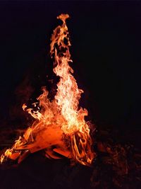 Close-up of bonfire at night