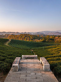 Scenic view of agricultural field against clear sky during sunset