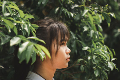 Close-up of boy looking at plants