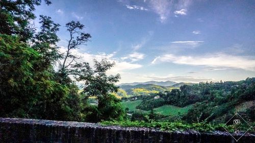 Scenic view of forest against sky