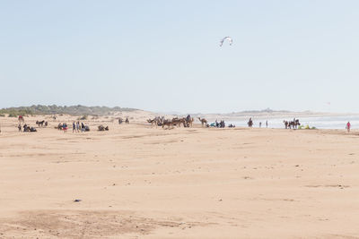 People at beach against sky