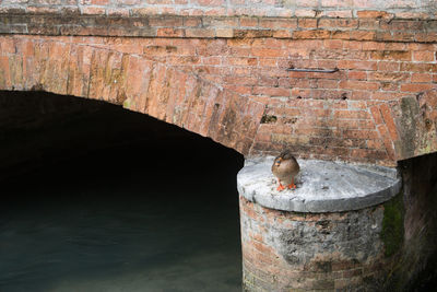 Close-up of old building