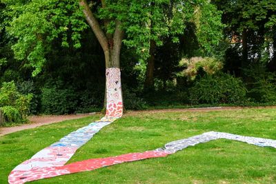 View of trees in park