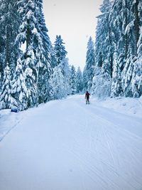 People skiing on snow covered land