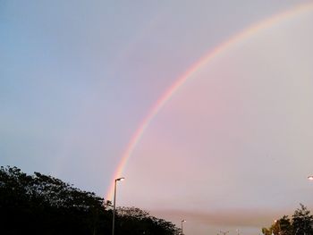 Low angle view of rainbow over trees