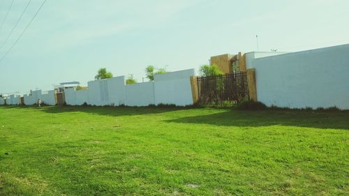 Grassy field against clear sky