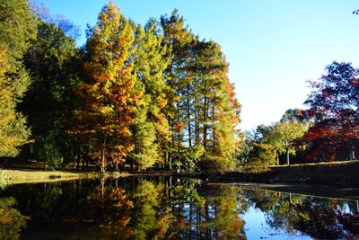 Reflection of trees in water against sky
