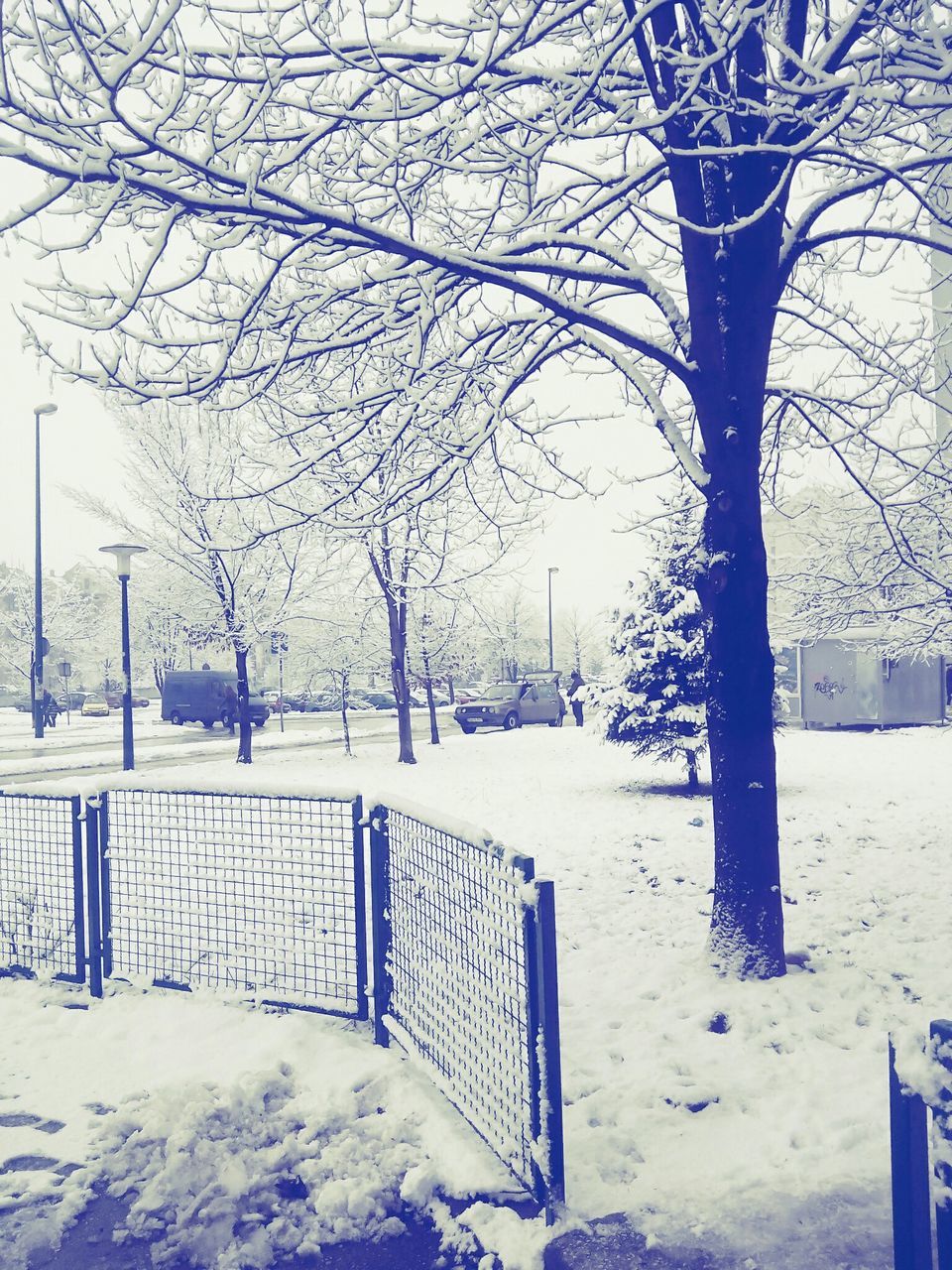 winter, snow, cold temperature, tree, season, bare tree, weather, bench, tree trunk, branch, fence, tranquility, nature, covering, park - man made space, tranquil scene, railing, landscape, beauty in nature, park bench