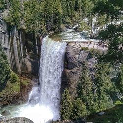 View of waterfall in forest