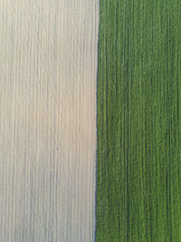 Full frame shot of agricultural field