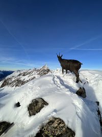 Low angle view of snow covered land