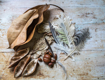 High angle view of dry leaves on table