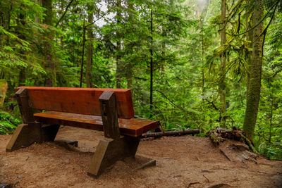 Empty bench in forest