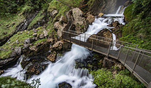 Scenic view of waterfall in forest