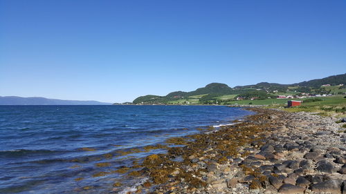 Scenic view of sea against clear blue sky