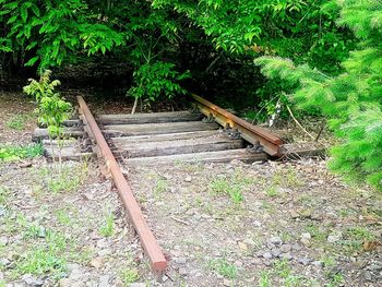 High angle view of railroad track amidst trees