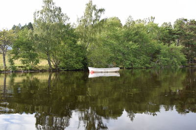 Scenic view of lake by trees against sky