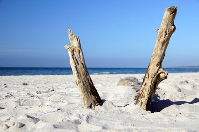 Driftwood on beach against clear sky