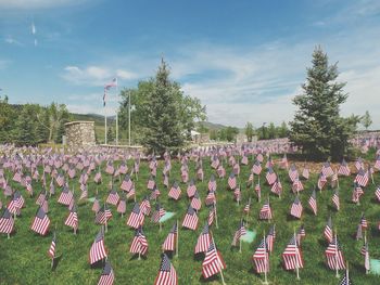 Trees growing in cemetery against sky american flags memorialmemorials