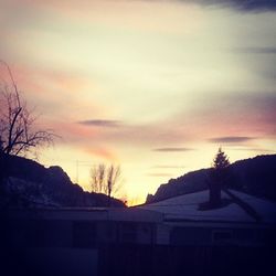 Bare trees against sky at sunset