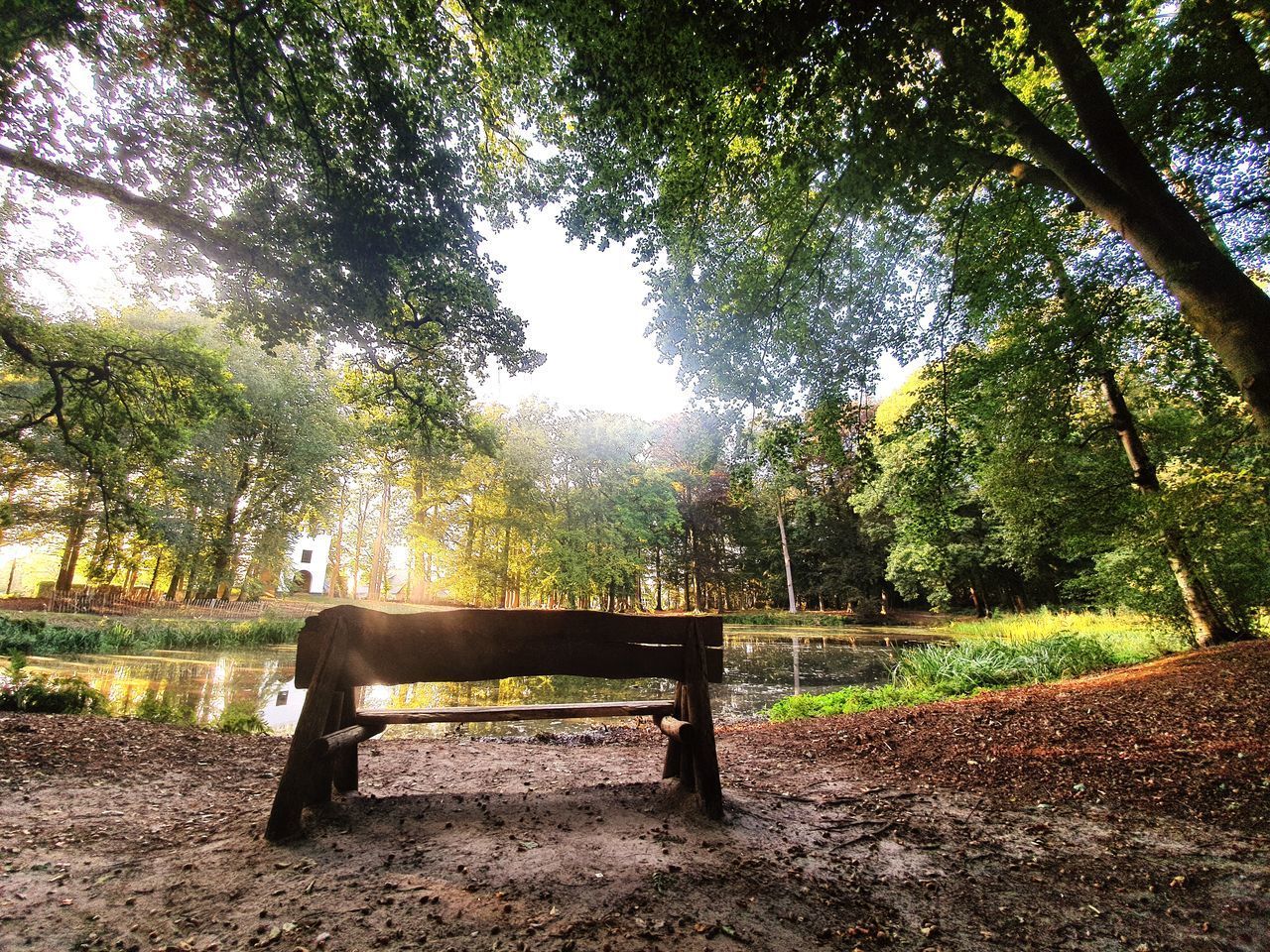 EMPTY BENCH IN PARK AGAINST TREES IN SUNLIGHT