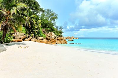 Scenic view of beach against cloudy sky