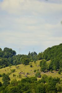 Scenic view of trees on field against sky